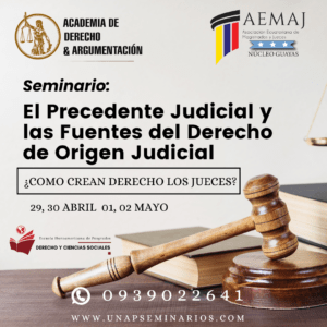 Seminario El Precedentes Judicial  las Fuentes del Derecho de Origen Judicial