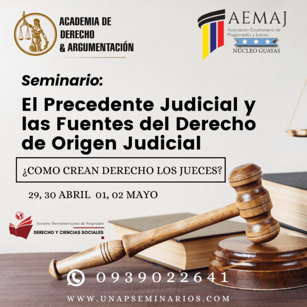 Seminario El Precedentes Judicial  las Fuentes del Derecho de Origen Judicial